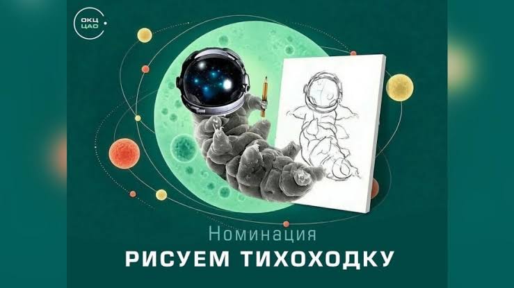 «Тихоходка: маленький герой больших приключений» — конкурс творческих работ для детей