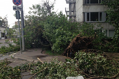 Последствия урагана в Центральном округе ликвидировали более 1100 человек